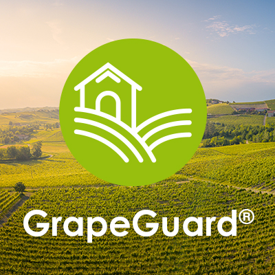 Vista general de Viñedo y logo grape Guard